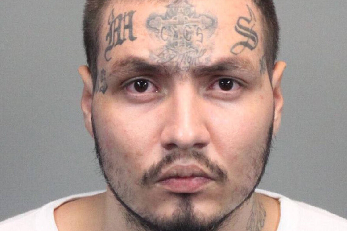 MS-13 gang convictions