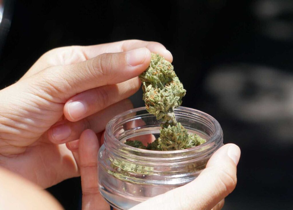 Maryland Cannabis Tax Revenue Tops $18.4 Million