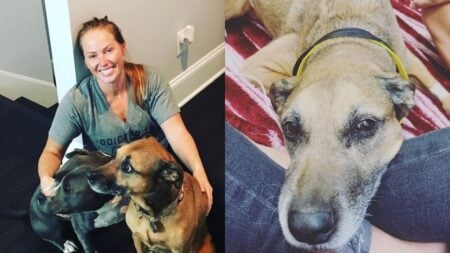 Mina Starsiak Hawk Mourns Family Dog Frank After Cancer Battle Mina Starsiak Hawk dog Frank