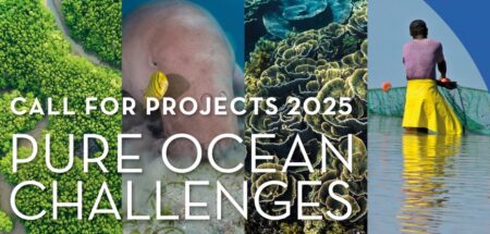 Why Pure Ocean Challenges Is Offering €80,000 for Projects Ocean Conservation Funding
