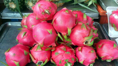 ড্রাগন ফল : পেট পরিষ্কার ও রোগ প্রতিরোধে সাহায্যকারী সেরা ফল ড্রাগন ফল