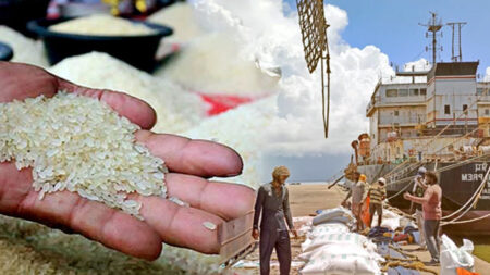 চাল রপ্তানিতে নতুন শর্ত চাপাল ভারত চাল রপ্তানি