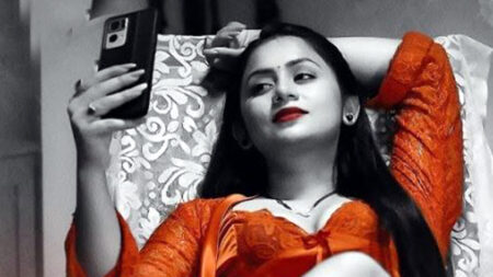 ওয়েব সিরিজ