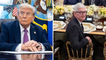 Tim Cook's Repeated Thanks to Donald Trump at Dinner