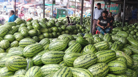 অসময়ে বাজারে এত তরমুজ কীভাবে এলো? Tormuj