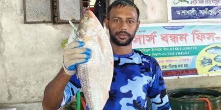 জেলের জালে ধরা পড়লো ২ কেজির এক ইলিশ, সাড়ে ৬ হাজারে বিক্রি ইলিশ