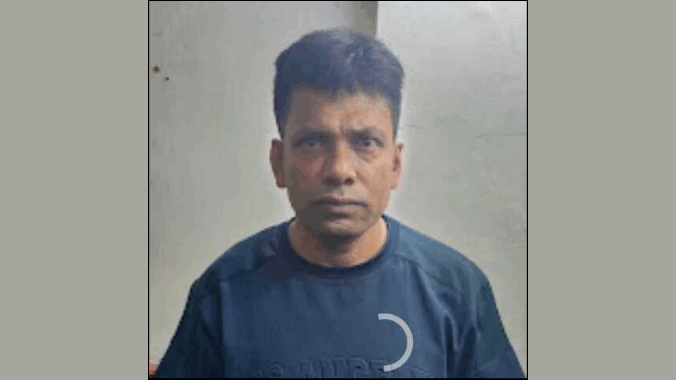 ময়লার ভাগাড়ে