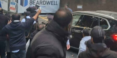 ডিম নিক্ষেপ