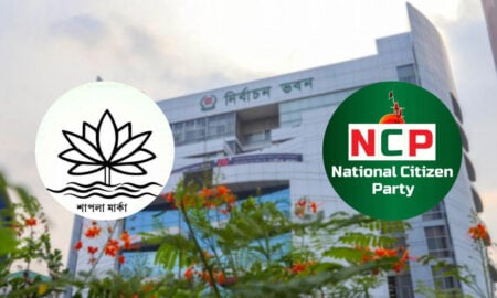 শাপলা প্রতীক