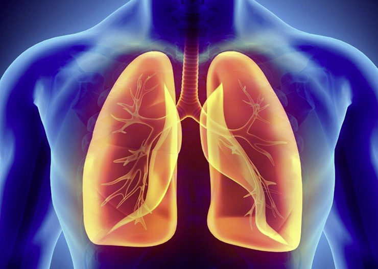 ফুসফুস