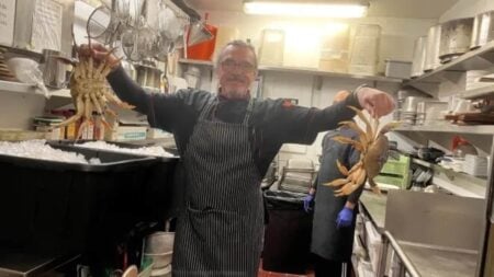 California Chef Valentino Luchin Arrested in Trio of San Francisco Bank Heists Valentino Luchin arrest