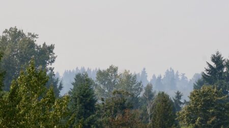 Seattle air quality