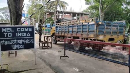 ইলিশ মাছ