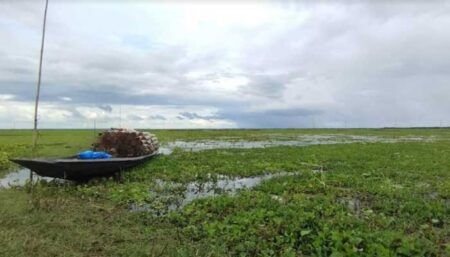 কাউয়াদীঘি হাওরের পানিবদ্ধতা