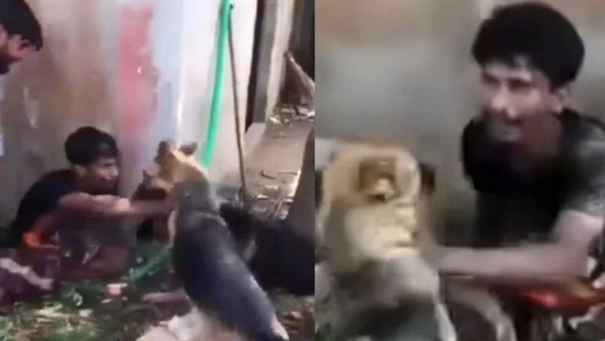 কুকুরের সামনে রেখে নির্যাতন 