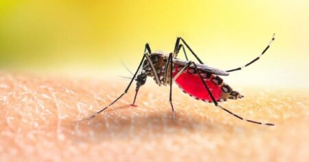 ডেঙ্গু পরিস্থিতি দিনদিন অবনতির পথে ডেঙ্গু আক্রান্ত