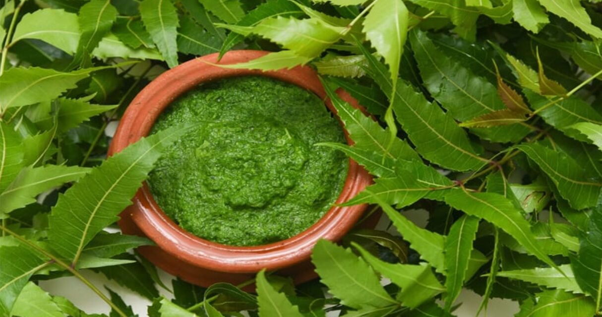 নিম পাতা