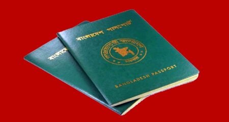 ৫টি দেশে ভিসা ছাড়াই ঘুরে আসতে পারেন, খরচও অনেক কম পাসপোর্ট