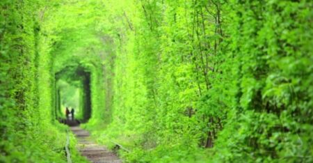 প্রেম সুড়ঙ্গে