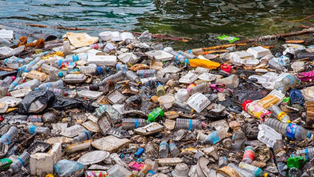 প্লাস্টিক দূষণে বিপর্যস্ত পরিবেশ