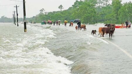 বন্যার আশঙ্কা