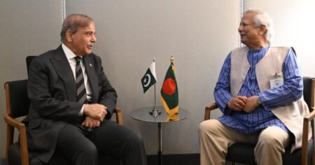 নিউইয়র্কে পাকিস্তানের প্রধানমন্ত্রীর সঙ্গে প্রধান উপদেষ্টার বৈঠক বৈঠক