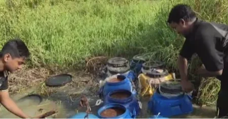 কেরানীগঞ্জে কৃষিজমির আড়ালে বাংলা মদের কারখানা জব্দ মদের কারখানা জব্দ