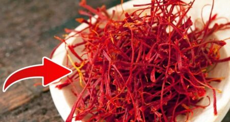 দামি মশলা