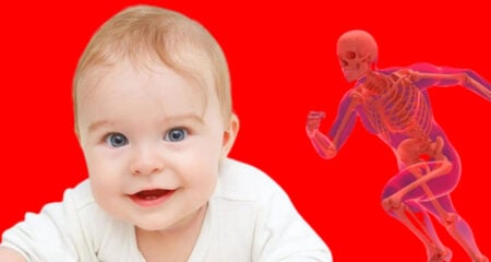 শিশু জন্মের সময় ৩০০টি হাড় থাকে পরে ২০৬টি, তাহলে বাকি ৯৪টি হাড় কোথায় যায়? শিশু জন্ম