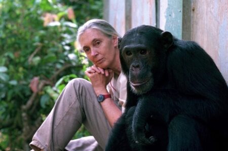 when did jane goodall die