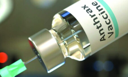 অ্যানথ্রাক্স ভ্যাকসিনে