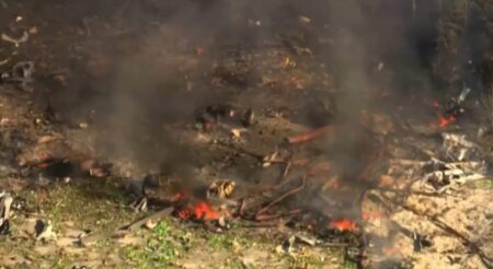 What was seen in the video of the Hickman County explosion area