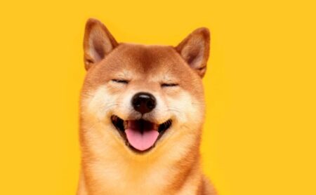 Dogecoin price