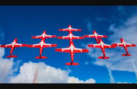 Canadian Snowbirds