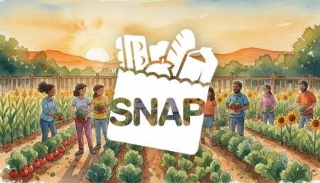 snap benefits november status