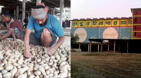 মজুদ করা আলু