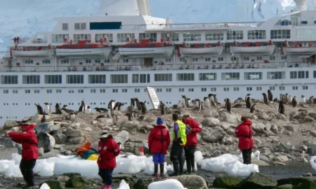 Antarctica Tourism Sees Surge in Celebrity Visitors and Luxury Cruises Antarctica Tourism Sees Surge in Celebrity Visitors and Luxury Cruises