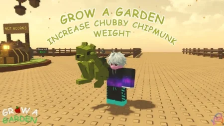 Chubby Chipmunk Weight Gain