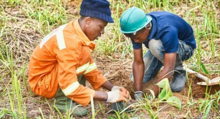 King’s Commonwealth Climate Resilience Fellowship Opens for Vulnerable Island Nations Climate Resilience Fellowship