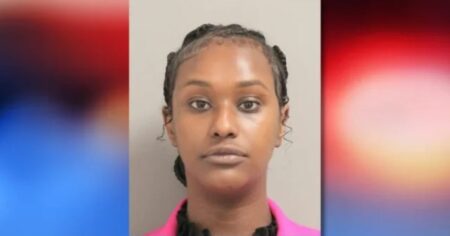 Houston brick lady case