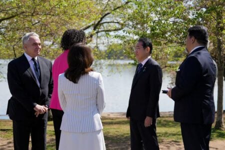 Japan Gifts 250 Cherry Trees to Washington D.C. in Historic Diplomatic Gesture