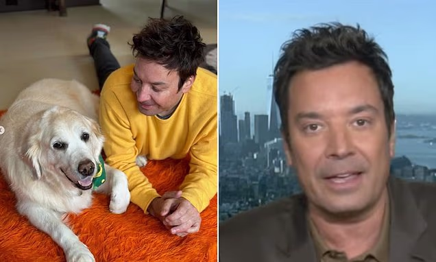 Jimmy Fallon Pays Tribute to His 'First Baby' Dog Gary in Heartbreaking Tribute