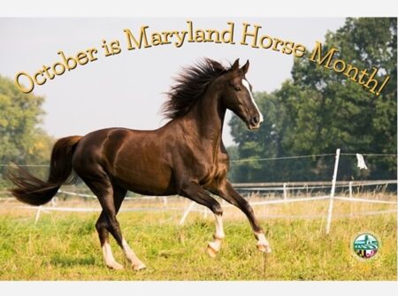 Maryland Horse Month