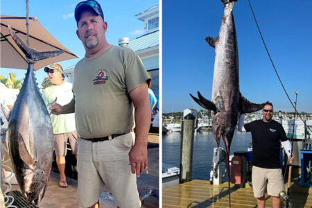 Maryland longfin albacore record