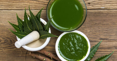 নিমের ডাল