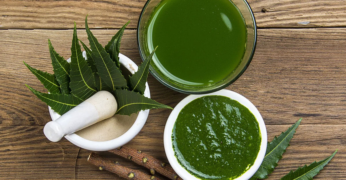 নিমের ডাল