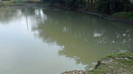 পানিতে ডুবে প্রাণ গেল