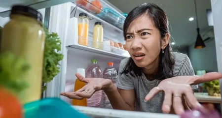 Refrigerator Freezer