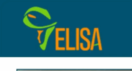 ELISA Business Scholars Program