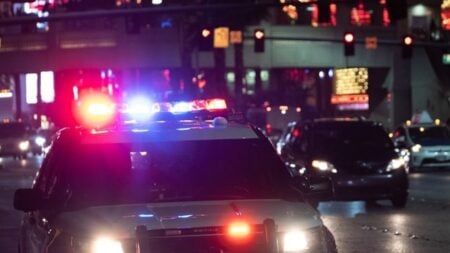 Goleta Shooting: Stabbing and Police Gunfire Erupt at Ralphs Grocery Store Goleta shooting